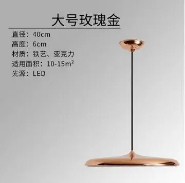 large rose gold 40cm Современные светодиодные подвесные люстры 8 цветов DIY художественное освещение столовая коридор Бар Кафе подвесные светильники принадлежности украшение дома - Цвет корпуса: large rose gold 40cm