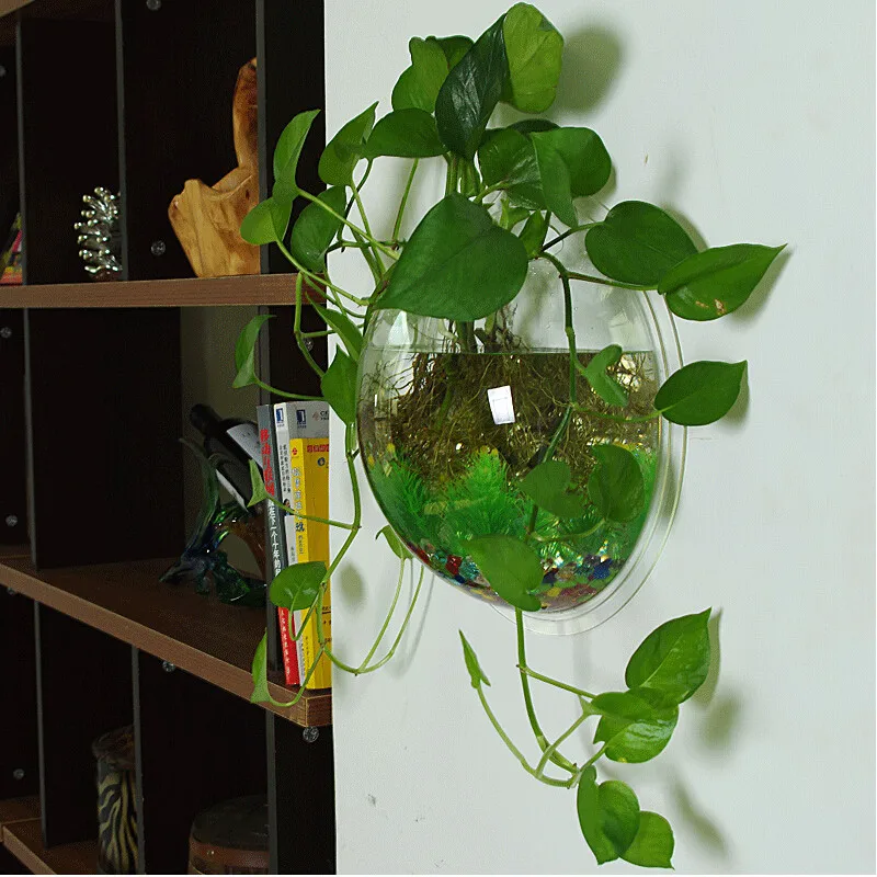 Творческий Настенный Аквариум Fish Tank Висит Шар Завод Пузырь Горшок Украшения|wall