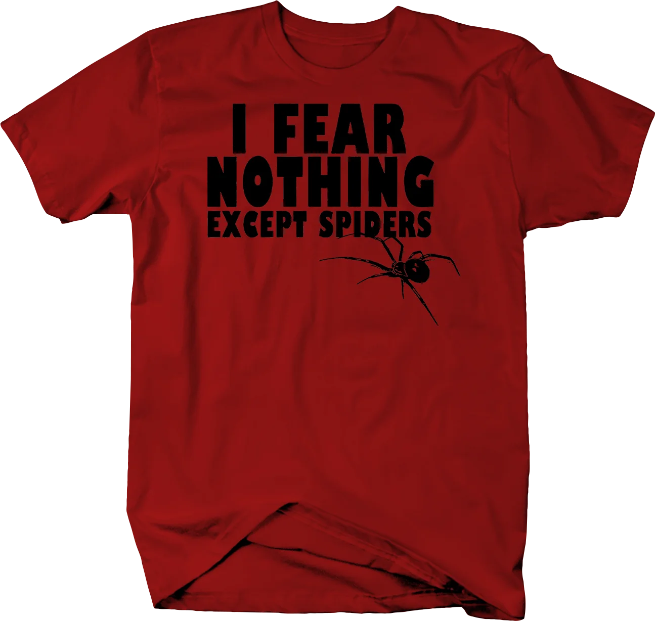 

Fear Nothing Except Spiders Tshirt Men's Funny T Shirts