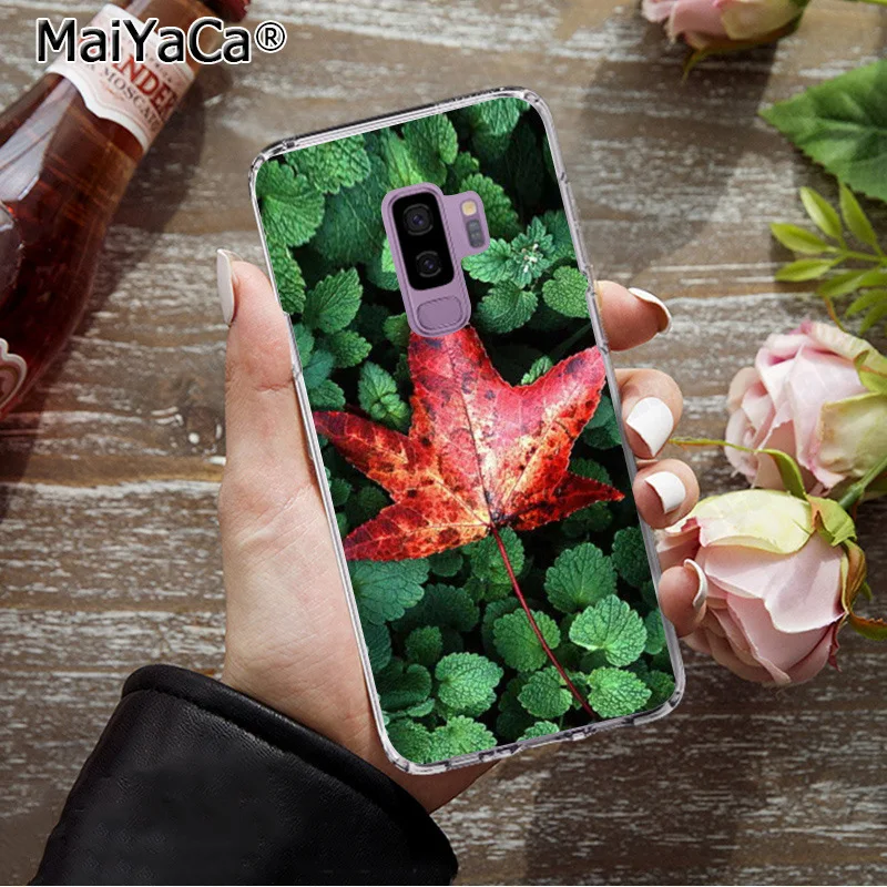 MaiYaCa Hello осень чехол с рисунком кленовых листьев чехлы для телефонов Samsung S9 plus S5 S6