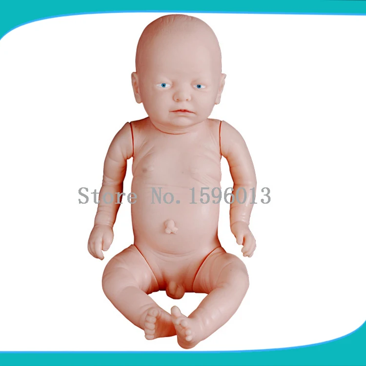 Лидер продаж модель для новорожденных Основная эмбриона | Канцтовары офиса и