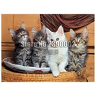 5d Diy алмазная живопись искусство мейн-кун кошки фотография вышивка крестиком Алмазная вышивка полная мозаика картины Домашний декор подарки