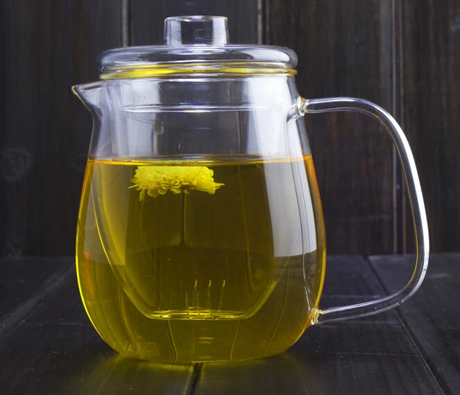 

1PC 600ML Thick heat-resistant glass teapot Penguin Kung Fu with stainless steel strainer transparent glass tea pot JN 1018