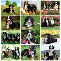 new arrival diamond painting embroidery puppy bernese mountain dog crystal beads 5d cross stitch kits handwork animal mosaic art