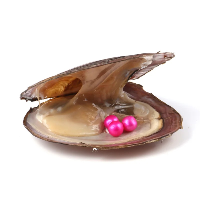 1 шт случайный цвет пресноводный жемчуг Oysters Triplets Жемчуг культивированный с 6 5-7 5