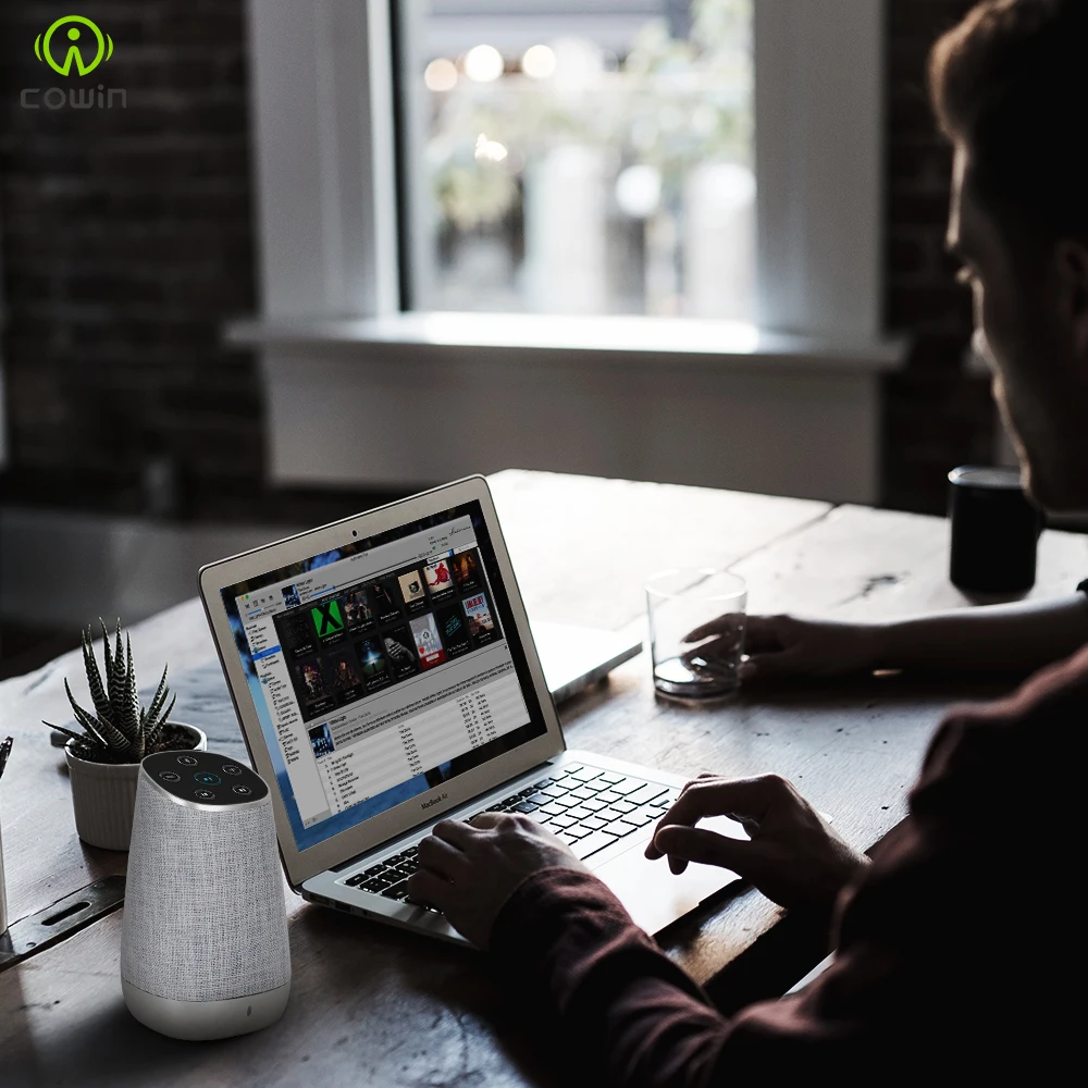 Водонепроницаемая портативная Bluetooth Колонка Cowin DiDa15w беспроводной сабвуфер
