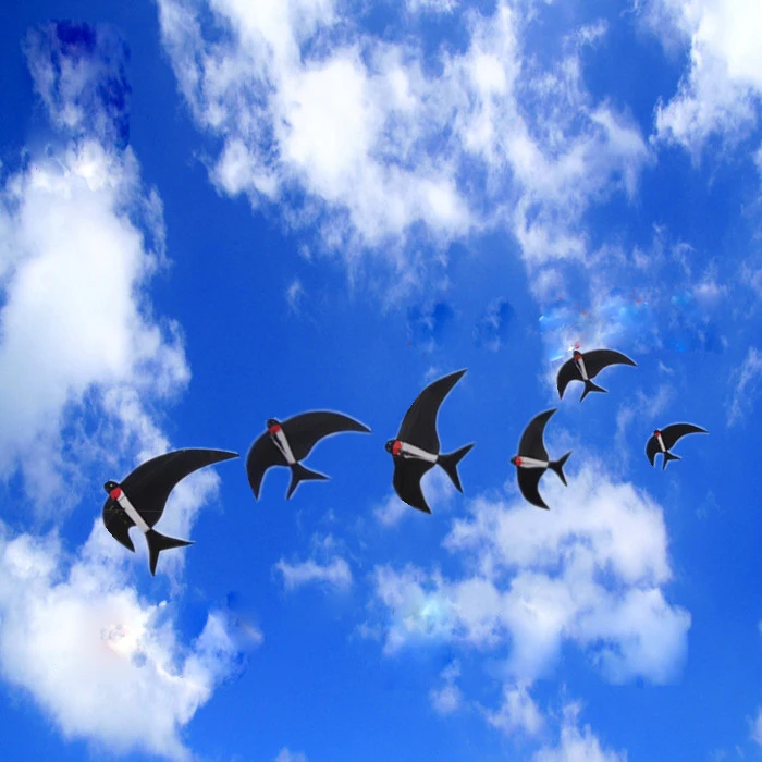 Воздушные змеи в форме птиц воздушные птиц|Воздушные змеи| |