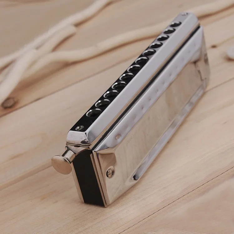 Hero Harmonica 12 отверстий 48 хроматические гармоники Щепка рот органный C Ключ музыкальный инструмент духовой инструмент подарок для начинающих