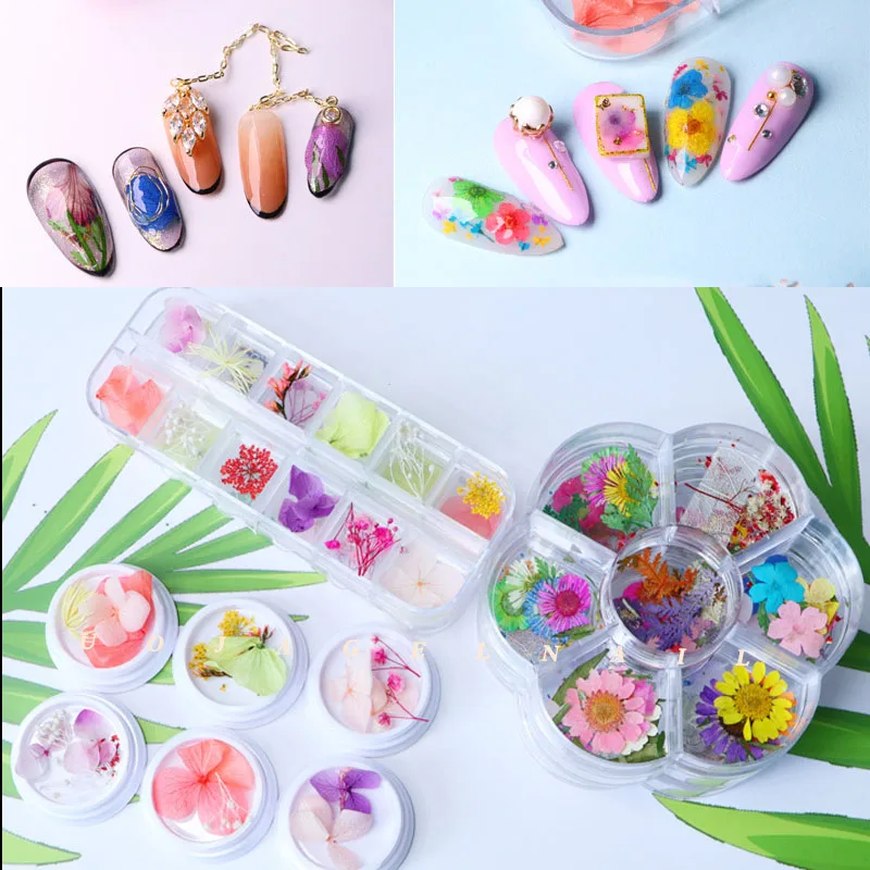 Natural Nail Dried Flowers Decoration Mix Dry Flower And Leaf Decor 3D Nail Art Designs Gypsophila Manicure Accessories
