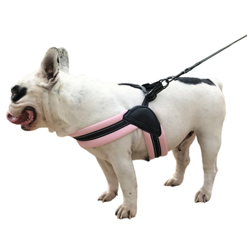 Новое поступление набор поводков для маленьких средних и больших собак