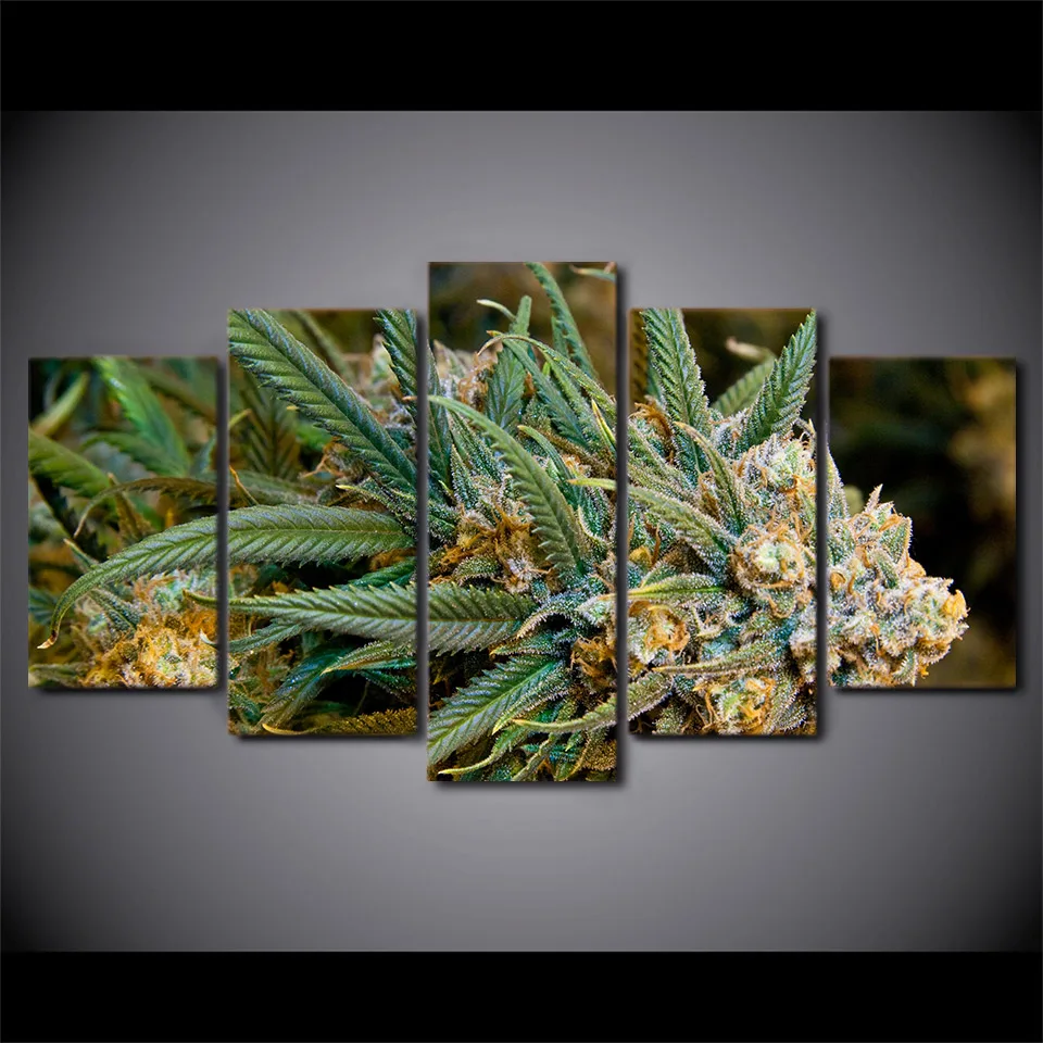 5 шт. холсте HD печати plantes плакат сорняков картина картины для гостиная стены