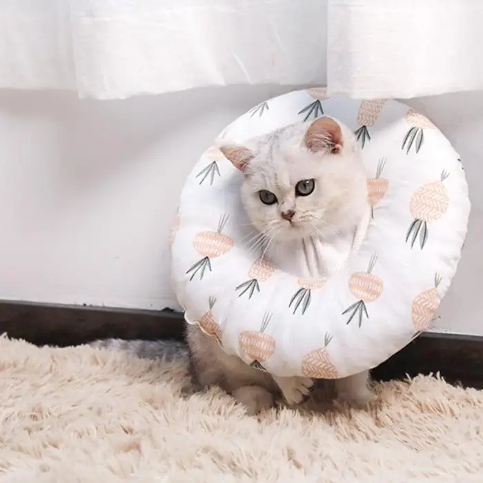 Pet защитный Восстанавливающий декорированный ошейник для кошки анти-Лизуны Elizabeth ошейники для хирургического средства ухода TN99