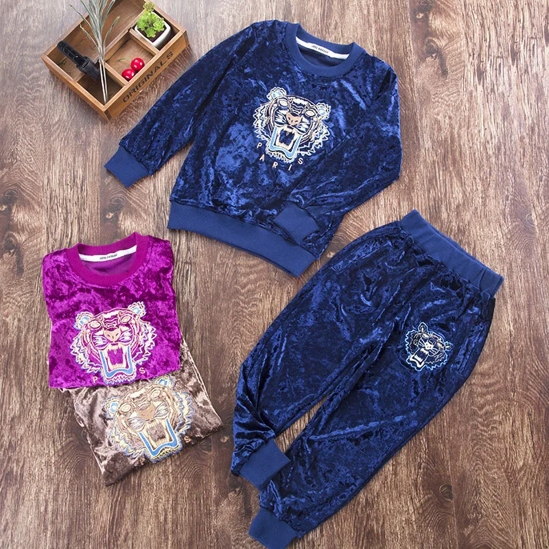 New Style Embroidery Kids Boys and Girls Tracksuits Sportswear fleece jacket Spring Autumn Clothes Children Casual Set 8colors | Детская