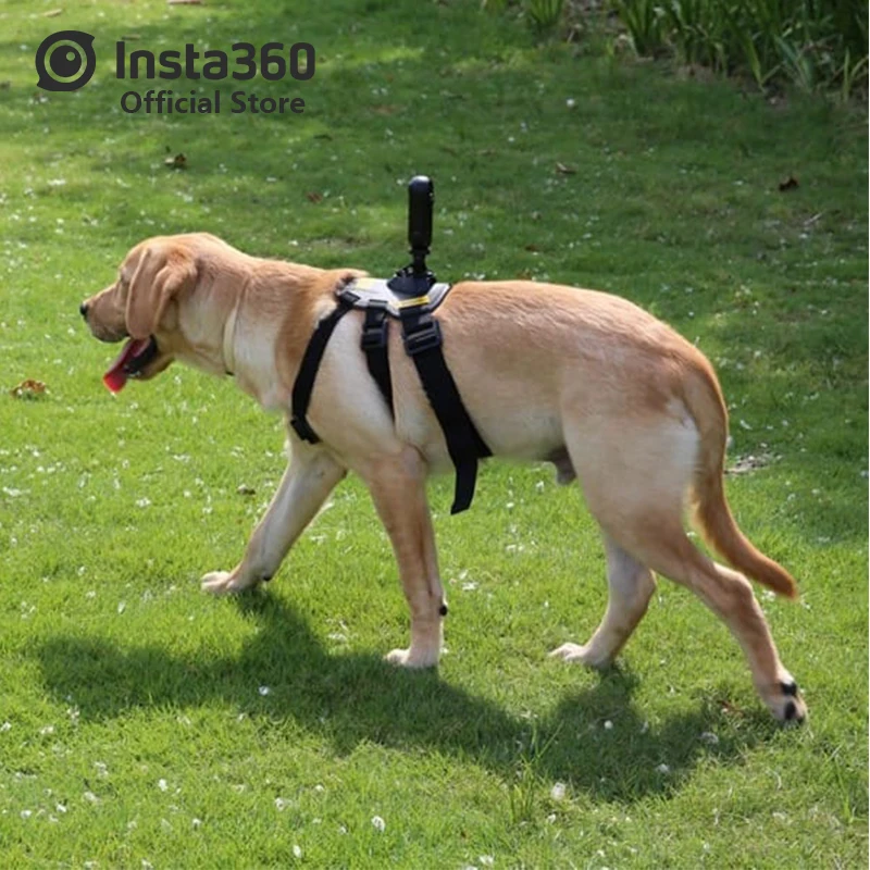 Pet Bundle (Insta360 ONE X и аксессуары)|Аксессуары для видеокамер 360°| |