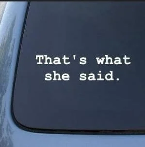 

THAT'S WHAT SHE SAID - The Office - Vinyl window Decal Sticker 22.5x12cm