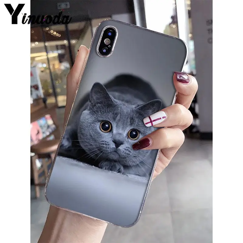A4 Yinuoda Британский короткошерстный Кот поделка-чехол для телефона для iPhone 5 5Sx 6 7plus 8 8Plus X XS MAX XR Fundas Capa - Цвет: A4