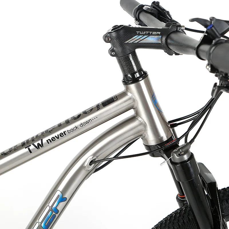 TWITTER WERNER Titanium Bicycle Mountain Bike 22s 33s MTB Titanium Frame XT M8000 sets XC DT Fork X1900spline Wheels