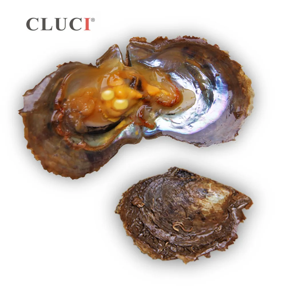 CLUCI 50 шт Akoya 6-7 мм культивированный жемчужный высококачественный Твинс жемчуг в устрицы акойя культивированный устрицы с жемчугом