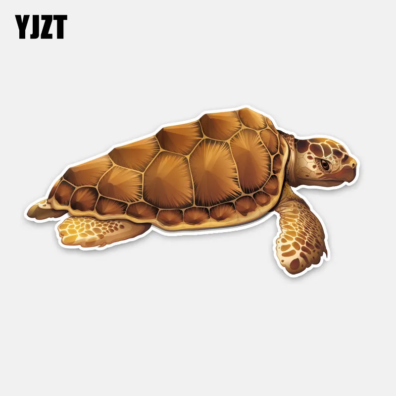 

YJZT 17.3CM*8.7CM Interesting Animal Marine Organism Graphical PVC Car Sticker Decal 5-0315
