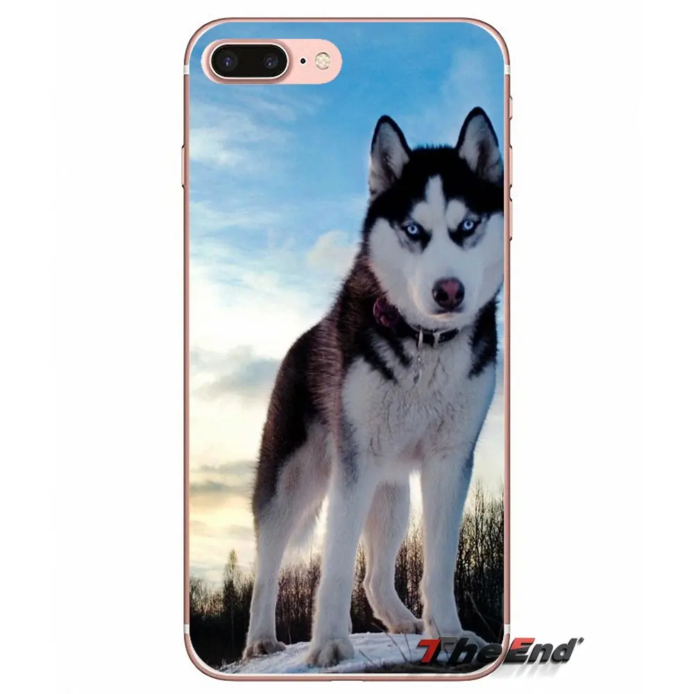 Чехол из силикагеля для Apple iPhone X 4 4S 5 5S SE 5C 6 6S 7 8 Plus 6Plus 7plus 8plus Fundas Coque|Чехлы-накладки|