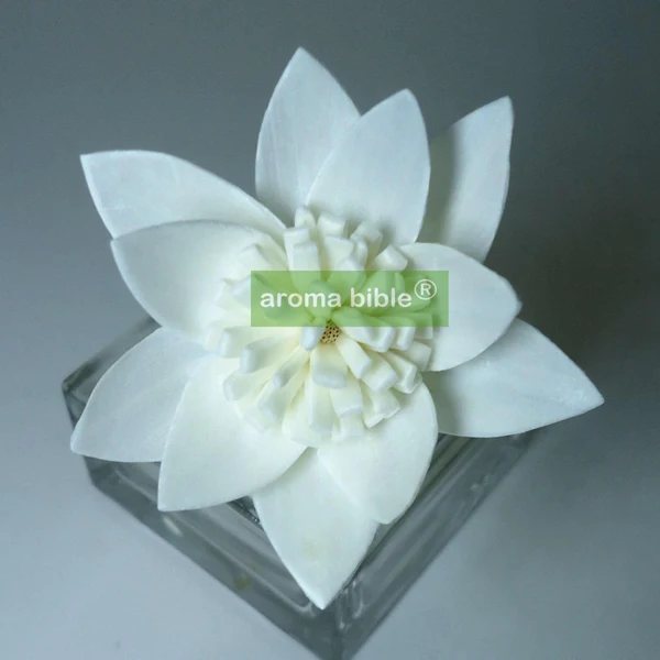 

1000 pcs /lot Handmade sola wood flowers for fragrance diffuser and home decor with 12cm Rope or rattan reed sticks Top quality