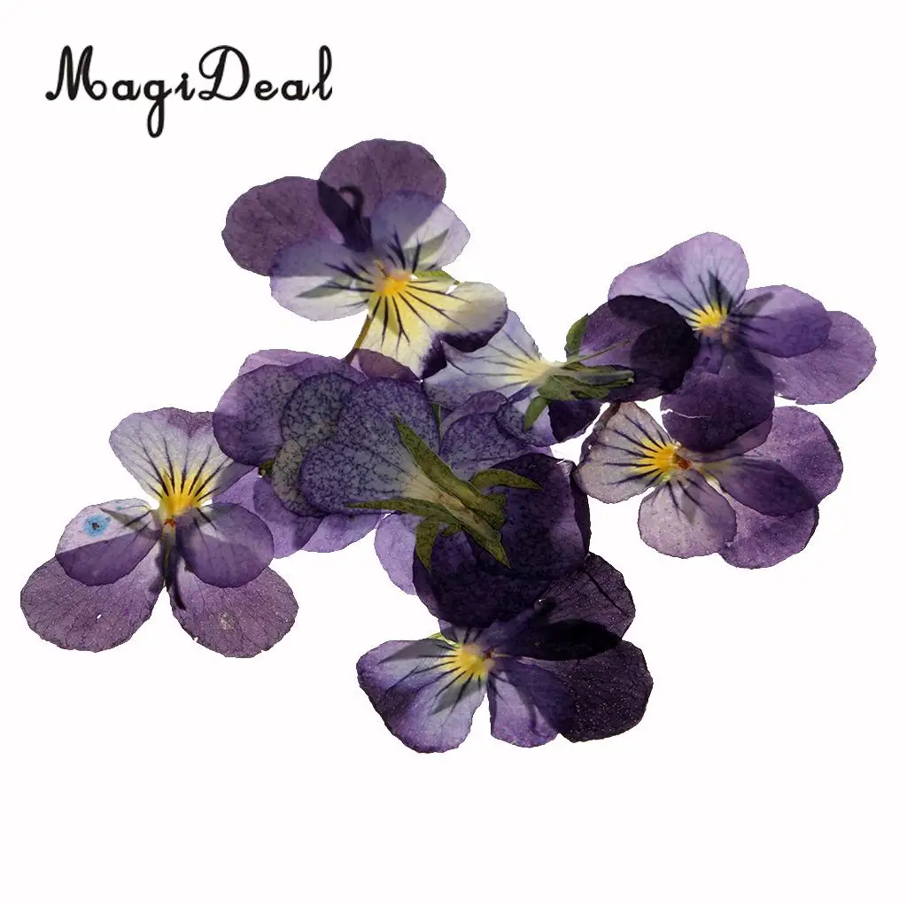 22 шт натуральные розы фиолетовые сушеные прессованные цветы для скрапбукинга