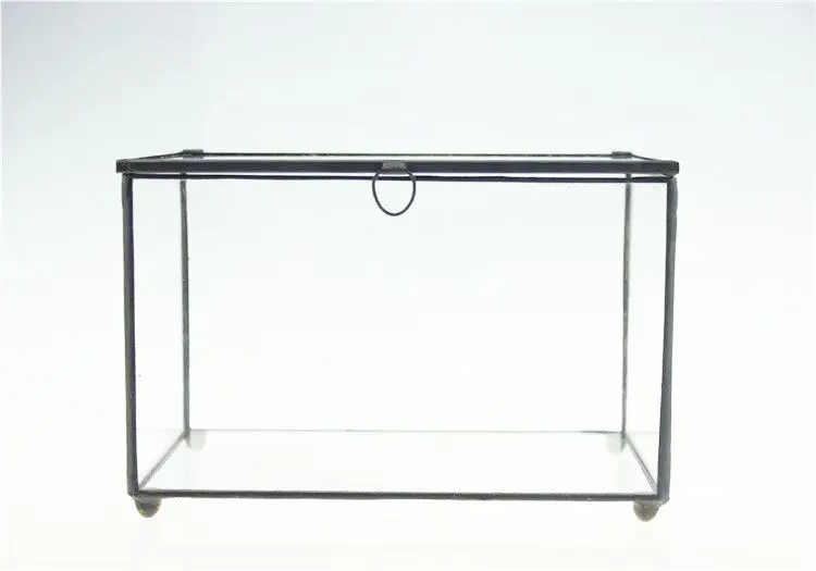 NCYP прямоугольник стеклянный цветочный горшок прозрачный геометрический