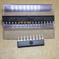

NJM2207S ZIP9 5PCS