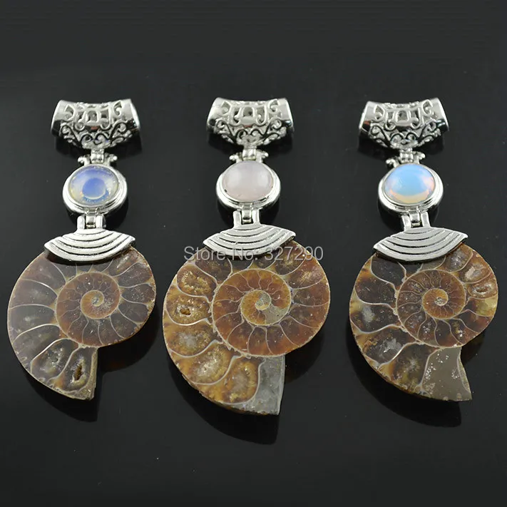 Новинка 2015 древняя натуральная ракушка наутилуса подвеска из аммонитового камня