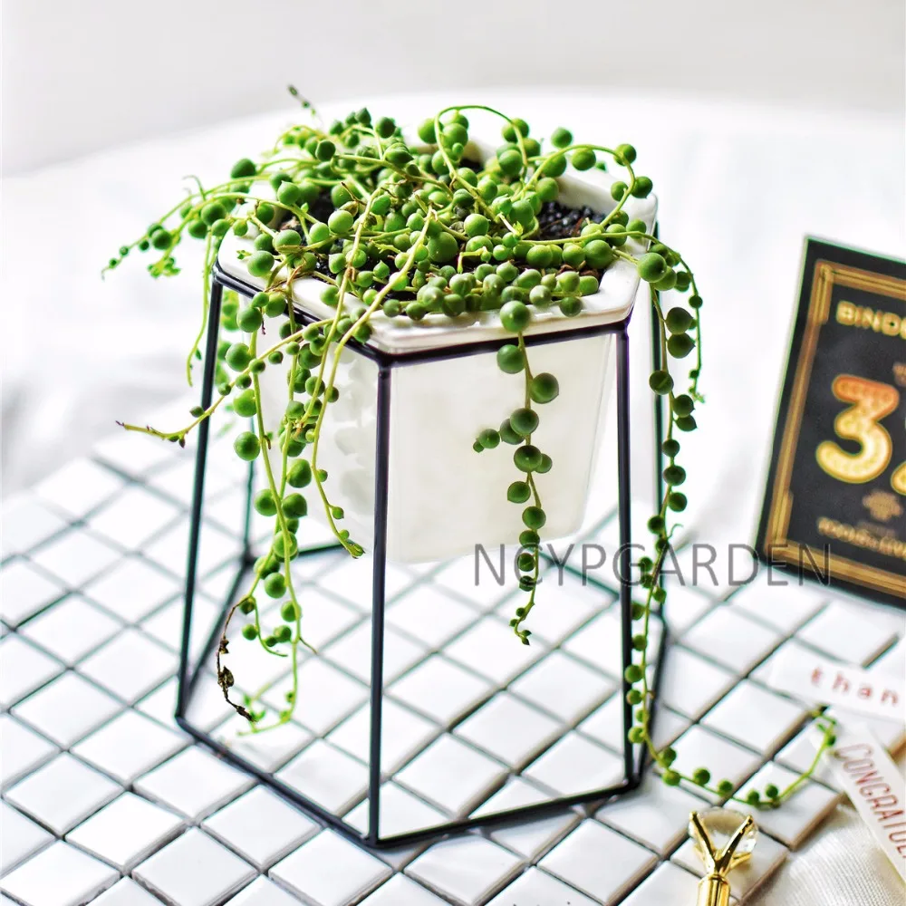 Декоративный черный железный держатель для стойки с керамическим горшком