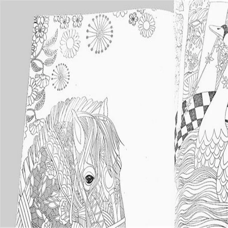 Youe shone 24 страница английская версия книги для раскрашивания больших цветов в