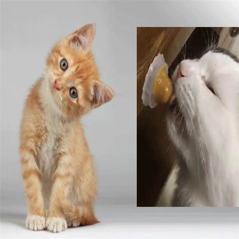2019 новые закуски котенок конфеты Мячи лизать Твердые питания гель