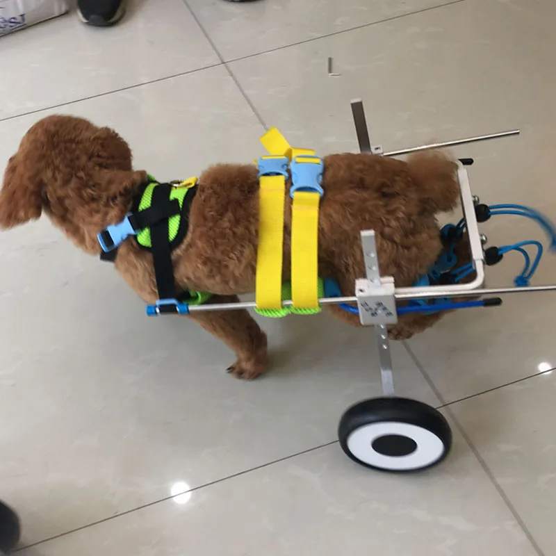 Pawstrip инвалидная коляска для домашних животных небольших инвалидов собак задних