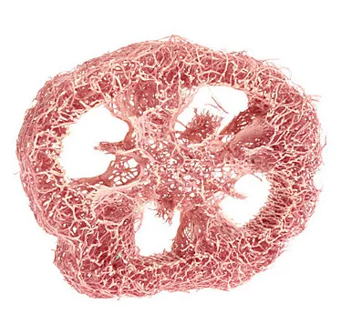 1 шт. натуральные экологически чистые игрушки для собак кошек чистящие зубы