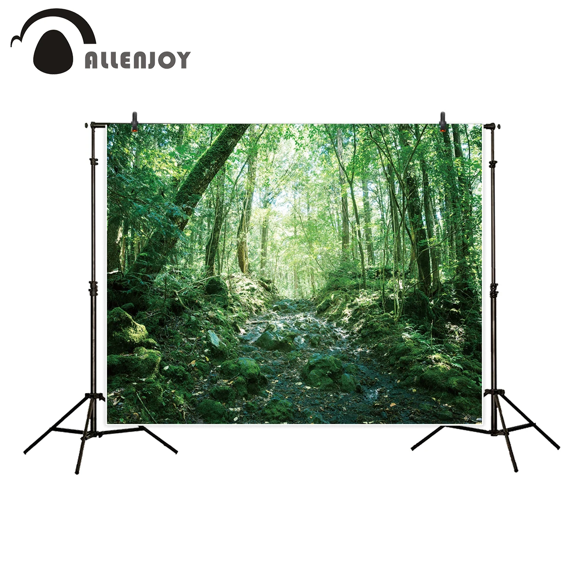 Фон для профессиональной фотосъемки Allenjoy Рокки дорога Глубокий Лес зеленый