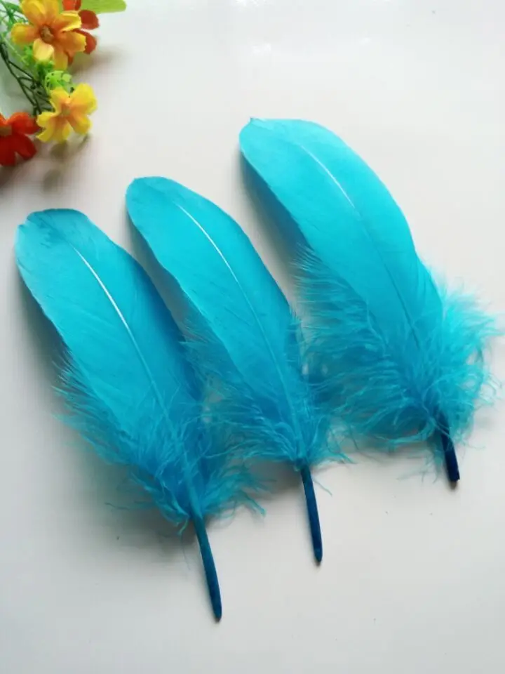 Новинка! Натуральные гусиные перья 5 7 дюймов/13 18 см 20 шт.|goose feathers|feather wholesalerswholesale