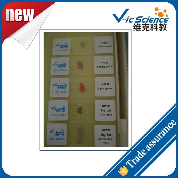 Новое поступление 50 шт. человеческий патологический микроскоп готовый набор