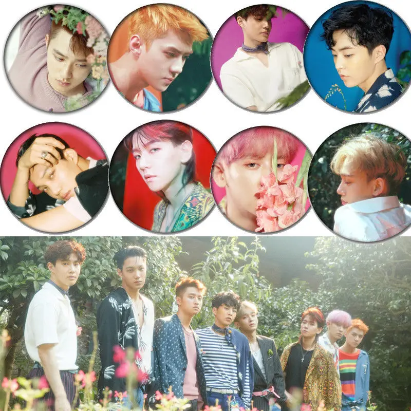 KPOP EXO нагрудная булавка военный значок брошь Чэнь ДУ Кай Сухо XIUMIN BAEKHYUN