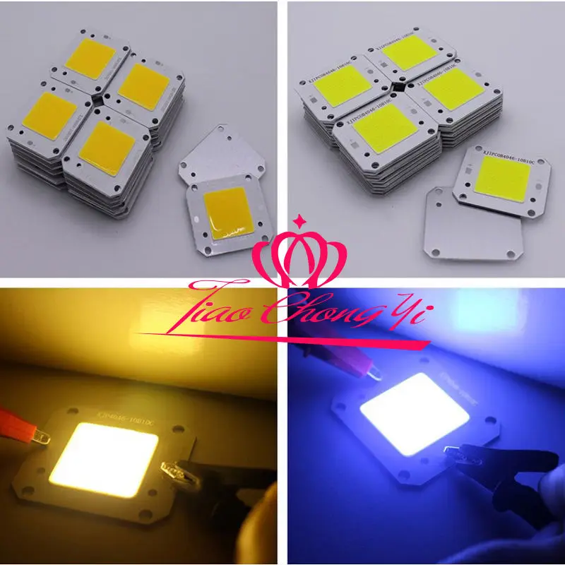 

50W warm white /white Cool white High Power 12V 32V COB LED Chip Grow light 10PCS