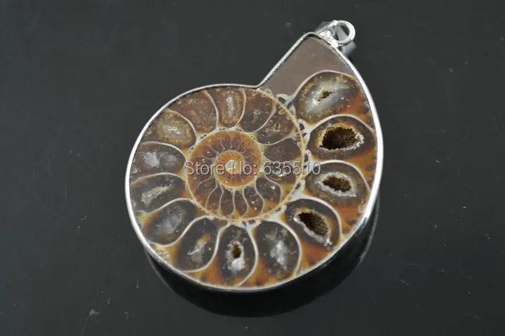 5 шт. милый кулон из камня аммолита подходит для изготовления модных ювелирных