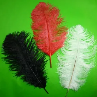 Fake Ptilosis/Vanishing Cane(Red/White/Black Available) Magic Tricks Stage Magia Ostrich Feather Used for Appearing Magie | Игрушки и