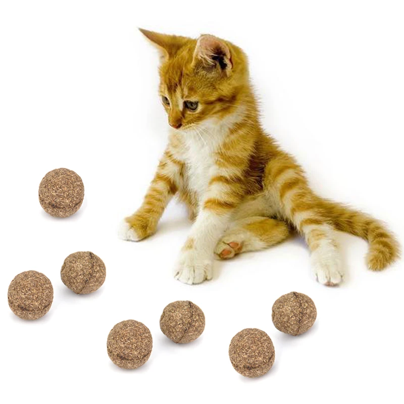 Котенок игра время домашних животных кошка игрушка натуральная кошачья мята мяч