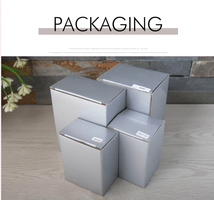 3 шт./компл. цинковый сплав египетский фараон бокал для вина древний Египетский