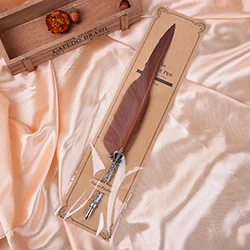 

Серебряная перьевая ручка BNB