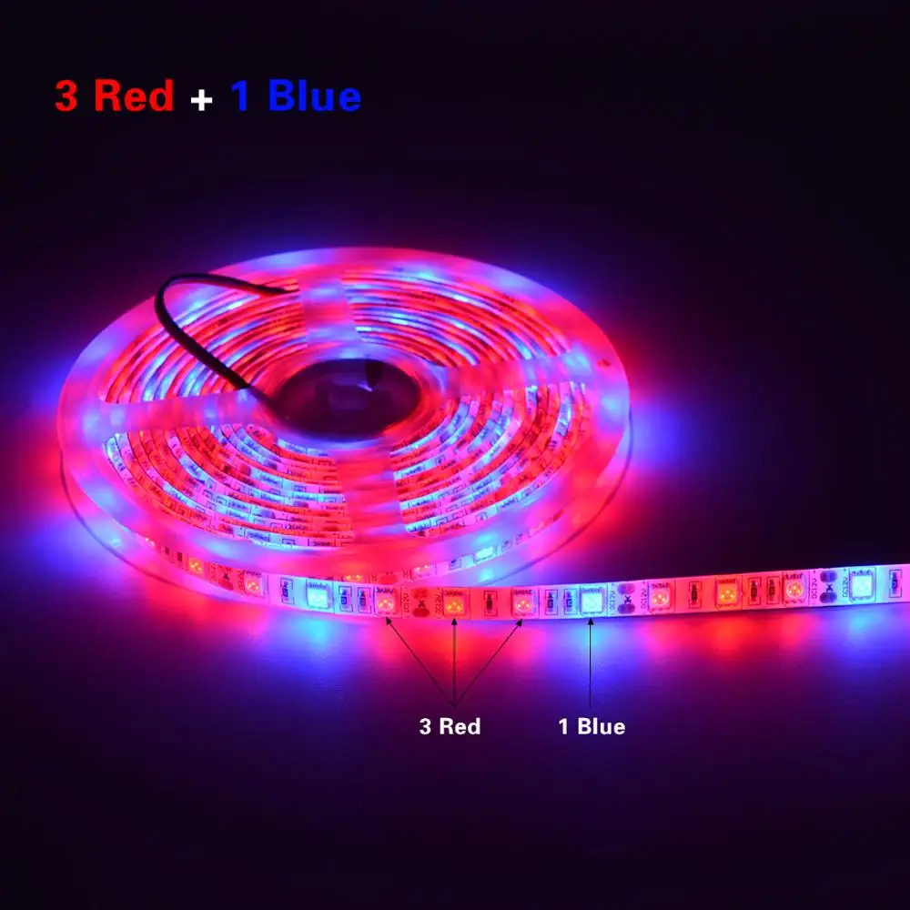 3 Red 1 Blue 5 м 12 В Светодиодная лампа для выращивания растений светодиодные полосы гидропонные системы SMD 5050 60 светодиодный/м лампы для выращивания теплиц растений водонепроницаемые - Испускаемый цвет: 3 Red 1 Blue