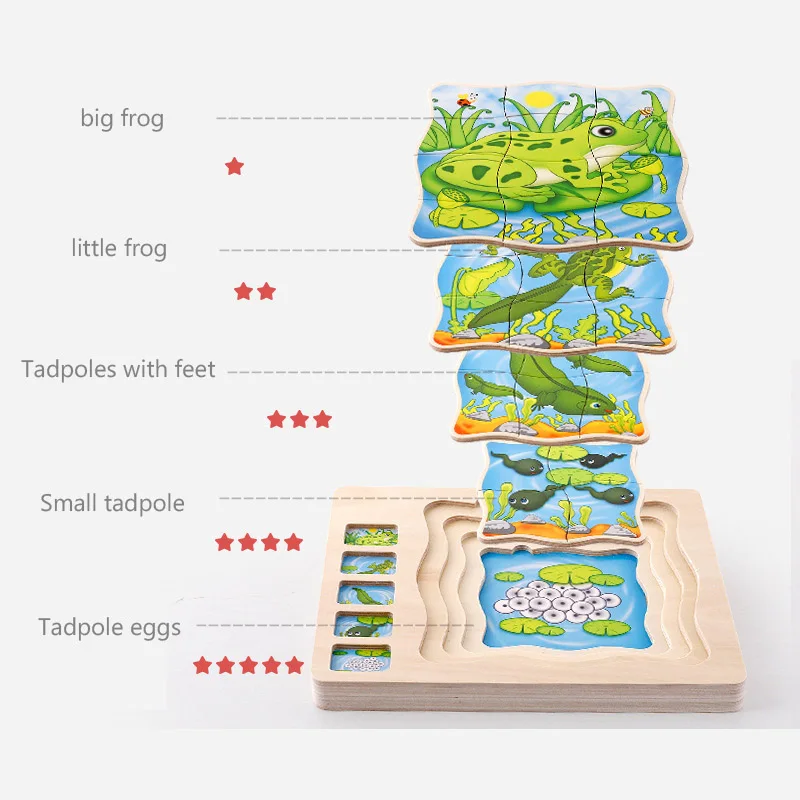Wooden Tetris Boy Puzzles Frog Toy Baby Colorful Jigsaw Board Children Body Structure Intellectual Educational Toys For | Игрушки и
