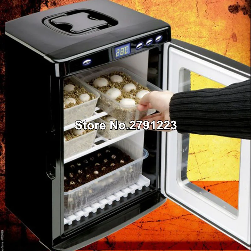 110 V/220 V Цифровой термоэлектрический инкубатор яйца рептилий, которые могут изменить свой цвет инкубатор для ящериц подходит для птиц Черепашки Ниндзя нагрева брудеры