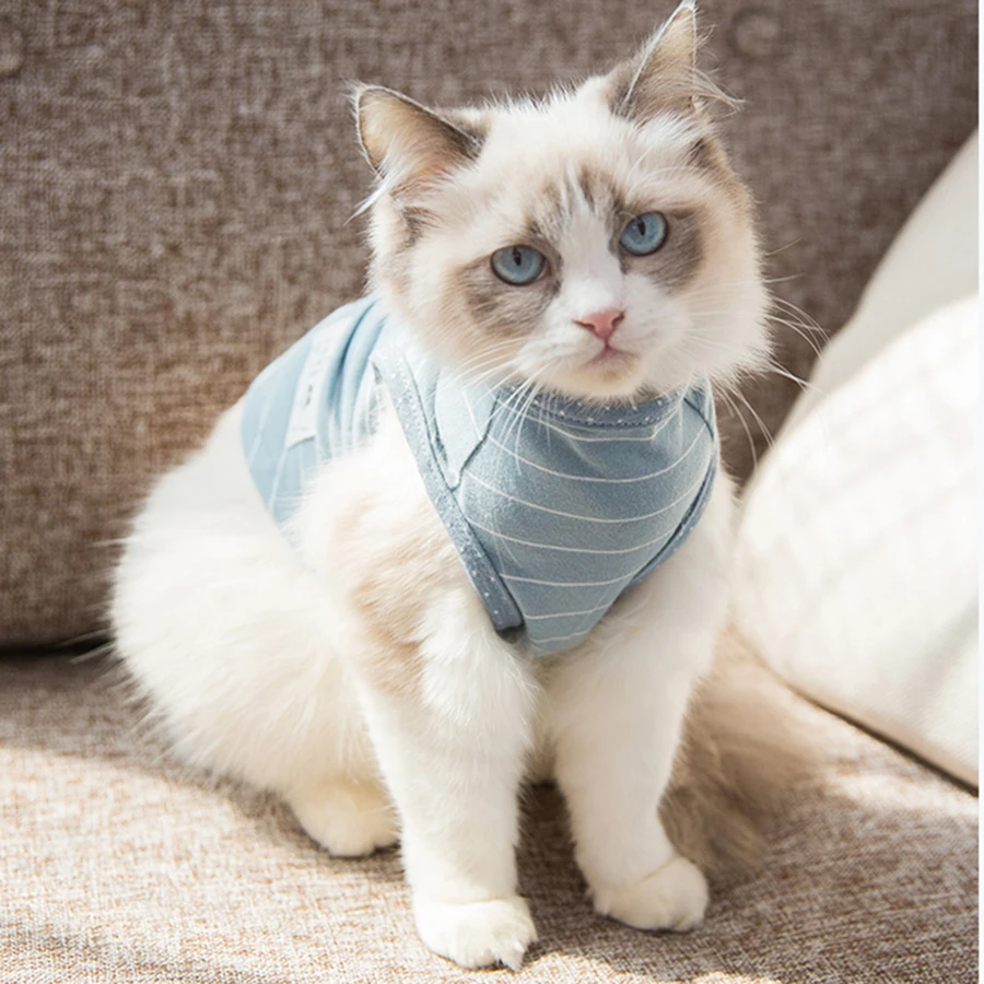 Костюм для котенка костюм кошки всех сезонов отдыха Ropa Para Gatos De Navidad одежда зимняя