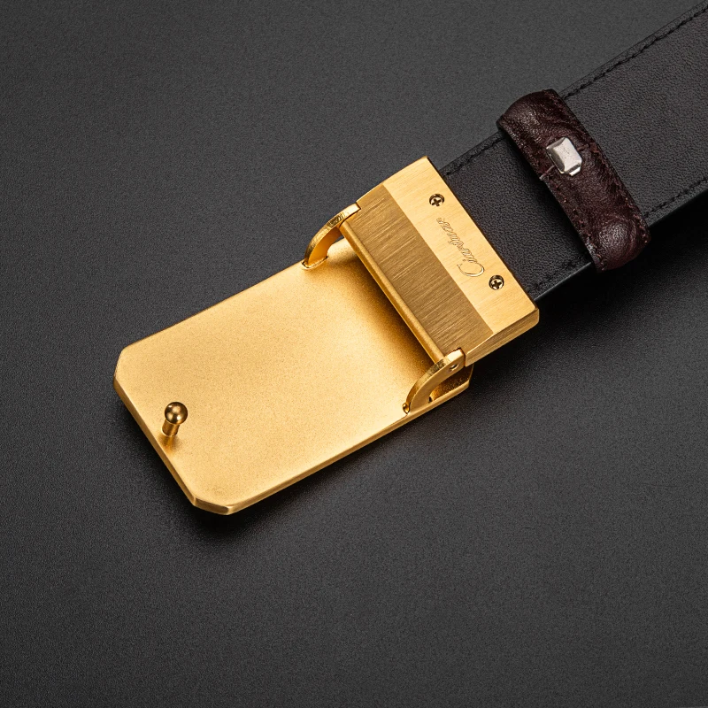 2019 бизнес роскошные дизайн одноцветное цвет сплава пряжки для мужчин ремень Riem