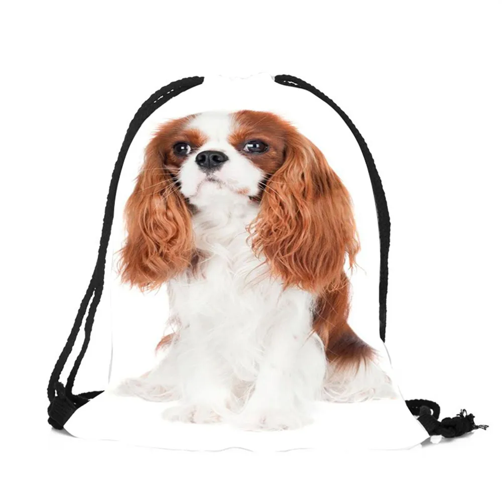 Прекрасный Чарльз спаниель с печатным рисунком женские сумки на завязках для